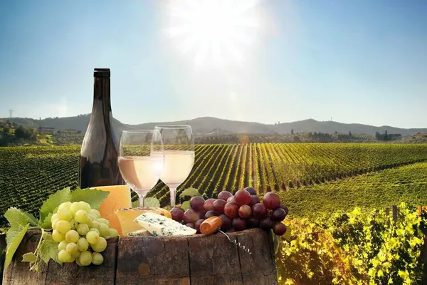 Luxury wine tour shuttle visiting vineyards and wineries across Northern California